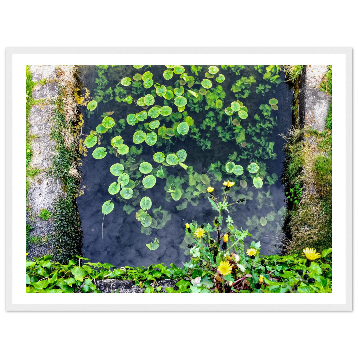 196a71f9-2814-42b7-afa1-993cc8b066e5