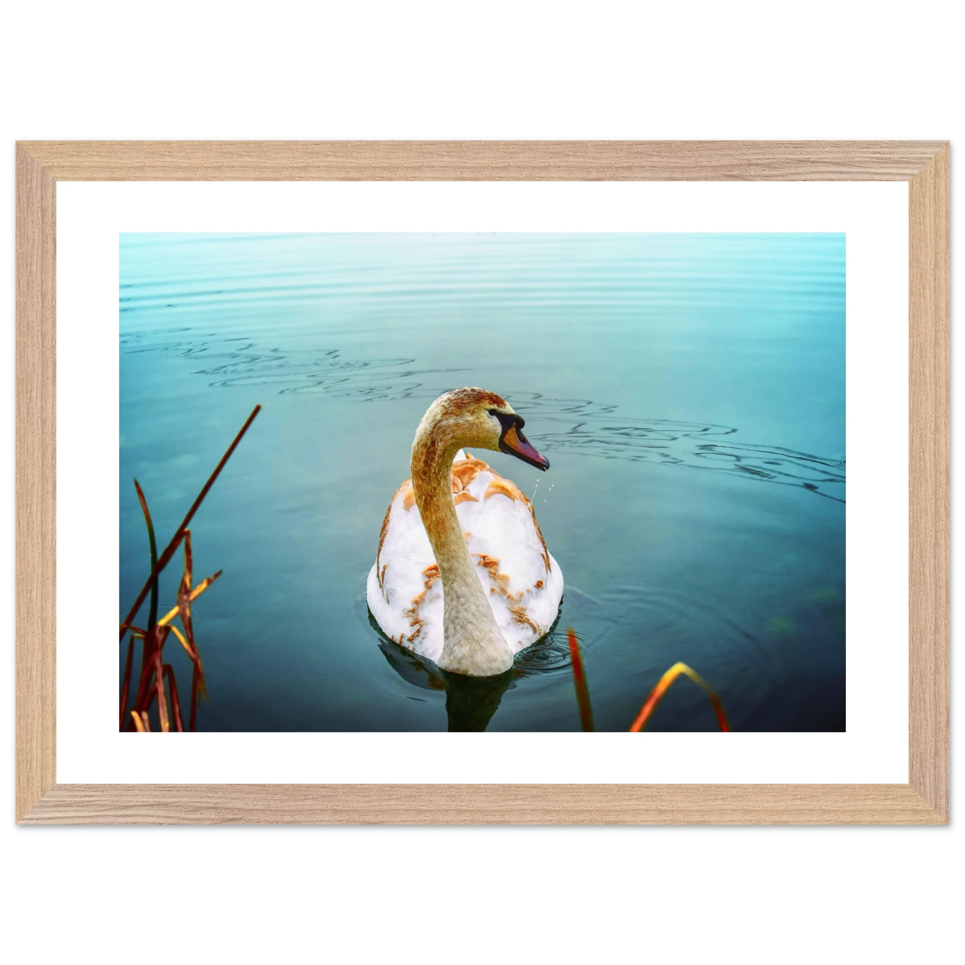 1a0c7313-bf90-493a-9fbc-f0a645e77cd2