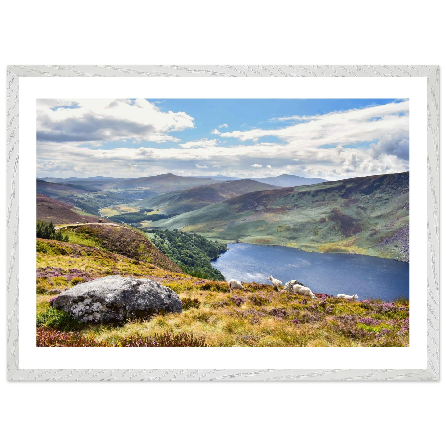 1a583c0f-c77e-49f4-89f0-f1176db843d6