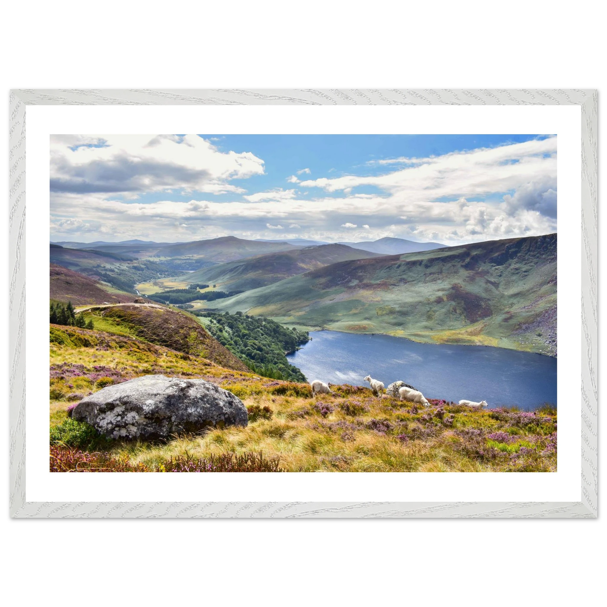 1a583c0f-c77e-49f4-89f0-f1176db843d6