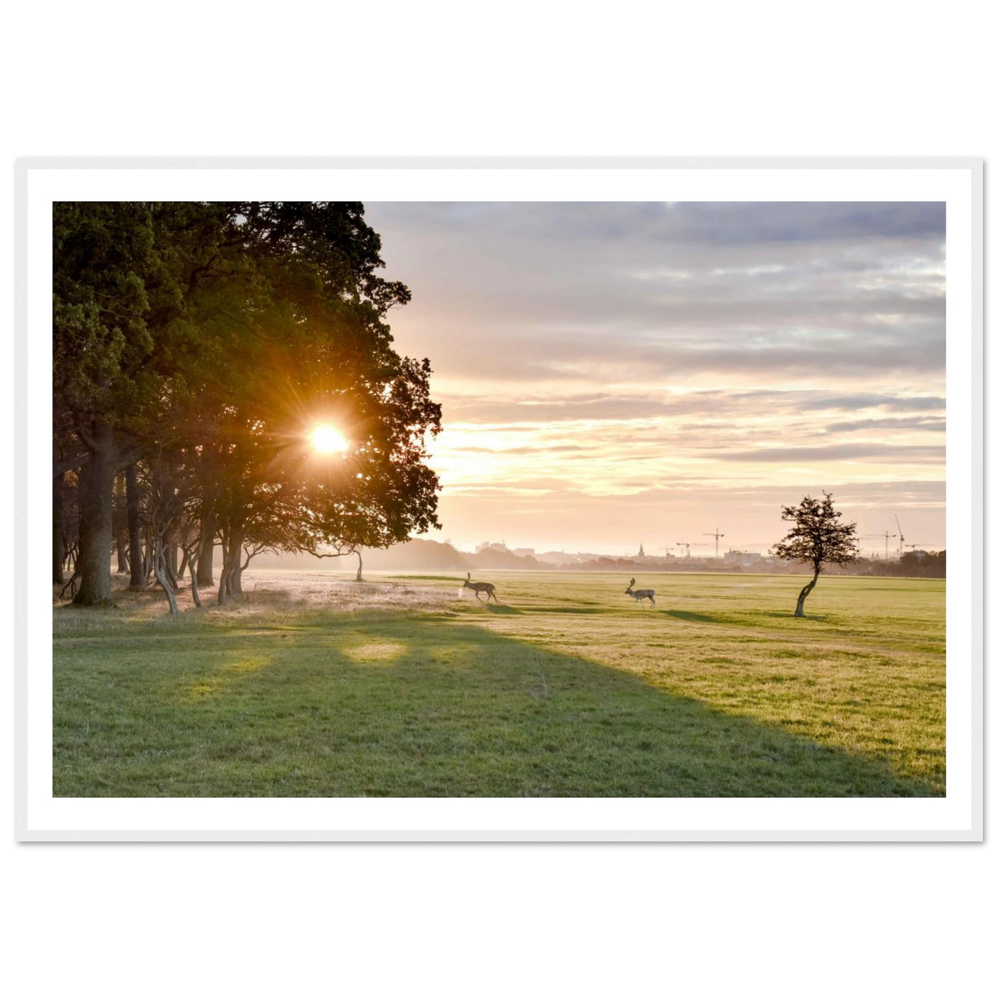 1b535780-9246-41d3-aba0-25c55aff6a7a