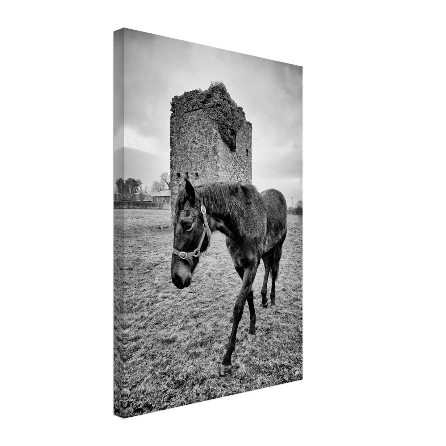 1c0486bc-c190-404f-8212-b87595f50b44