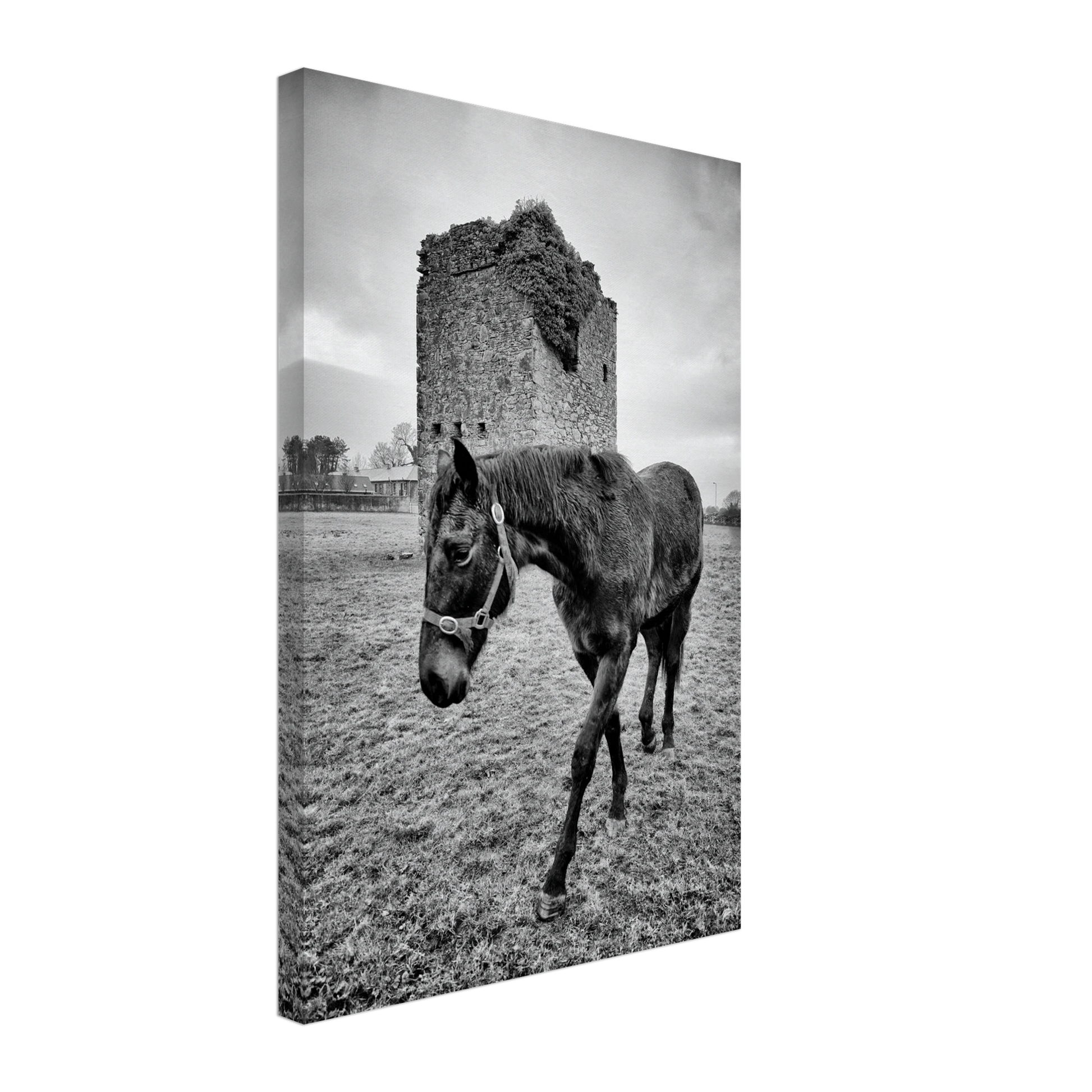 1c0486bc-c190-404f-8212-b87595f50b44