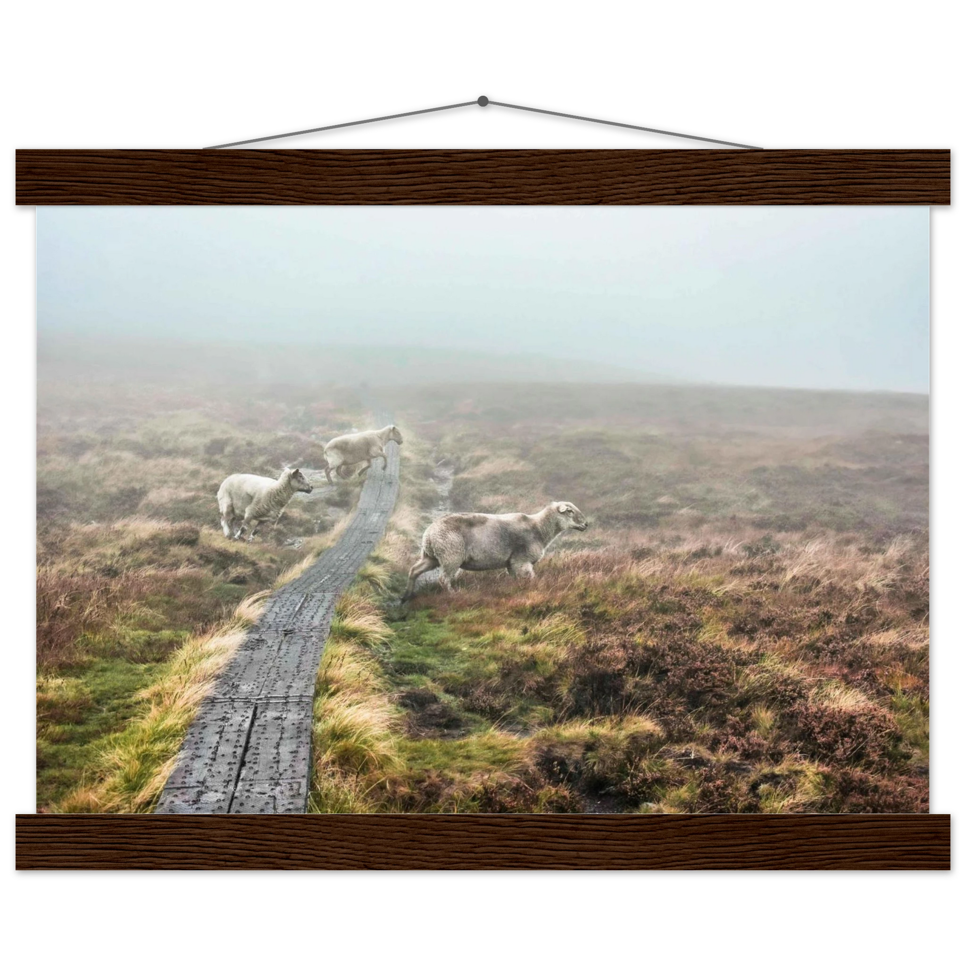 1c1b9245-beb4-4b88-b9da-388aeba844cc