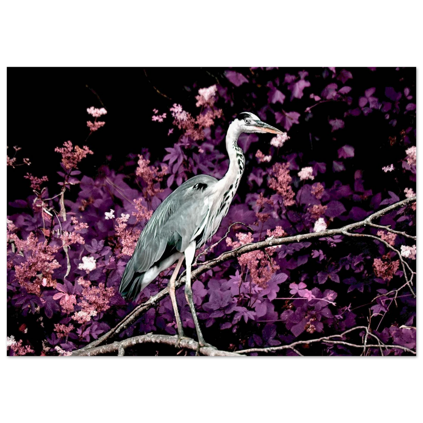 1c9dcf55-dd9a-4d9a-8c3a-b3a992780df5