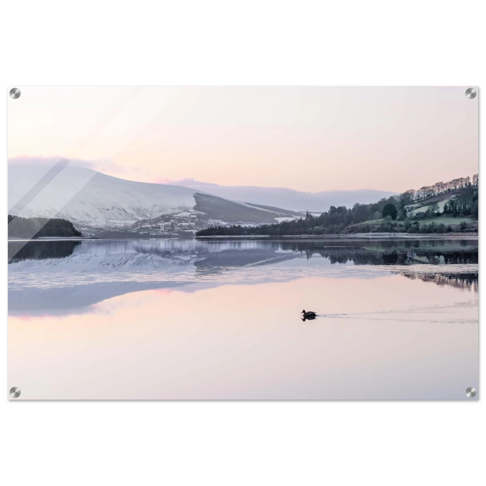 1cc15fdf-e12d-4432-b573-6b5c7af5f356