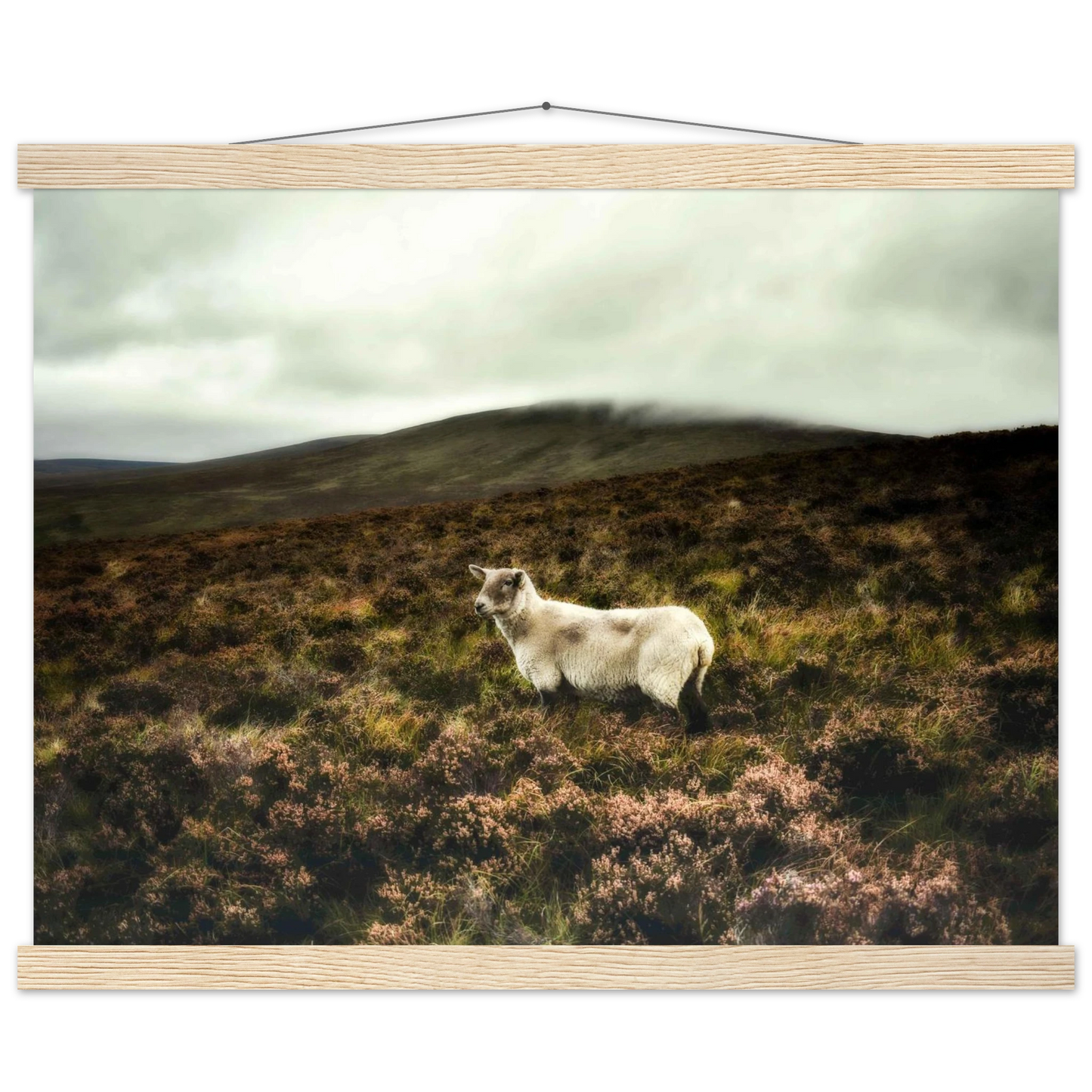 1cd2b353-78f0-474f-8109-d8618d3bbdd8