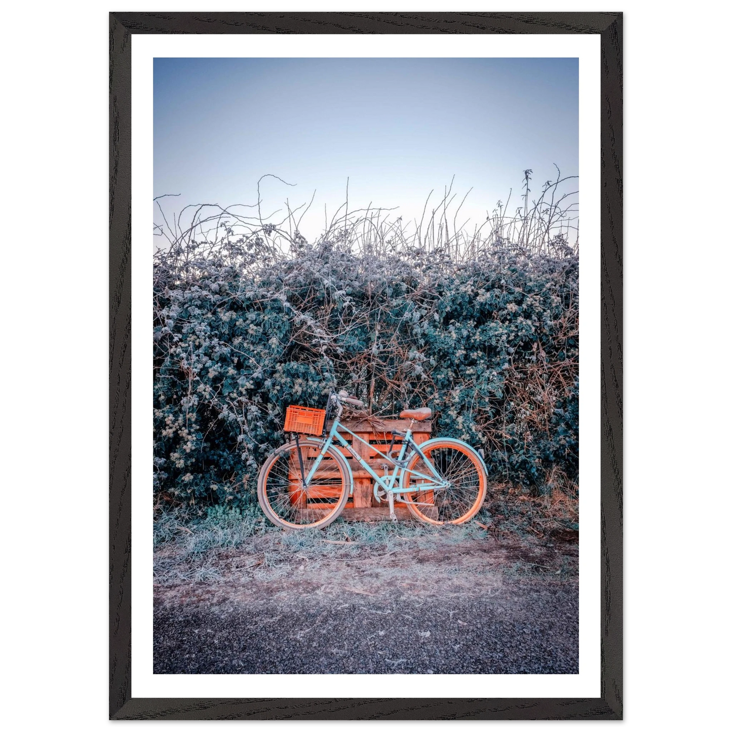 1d23db37-133f-43dd-a319-eaff63fc35cd