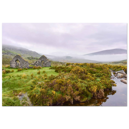 1d49ce0d-3aab-404c-92db-c1f2ac569bd9