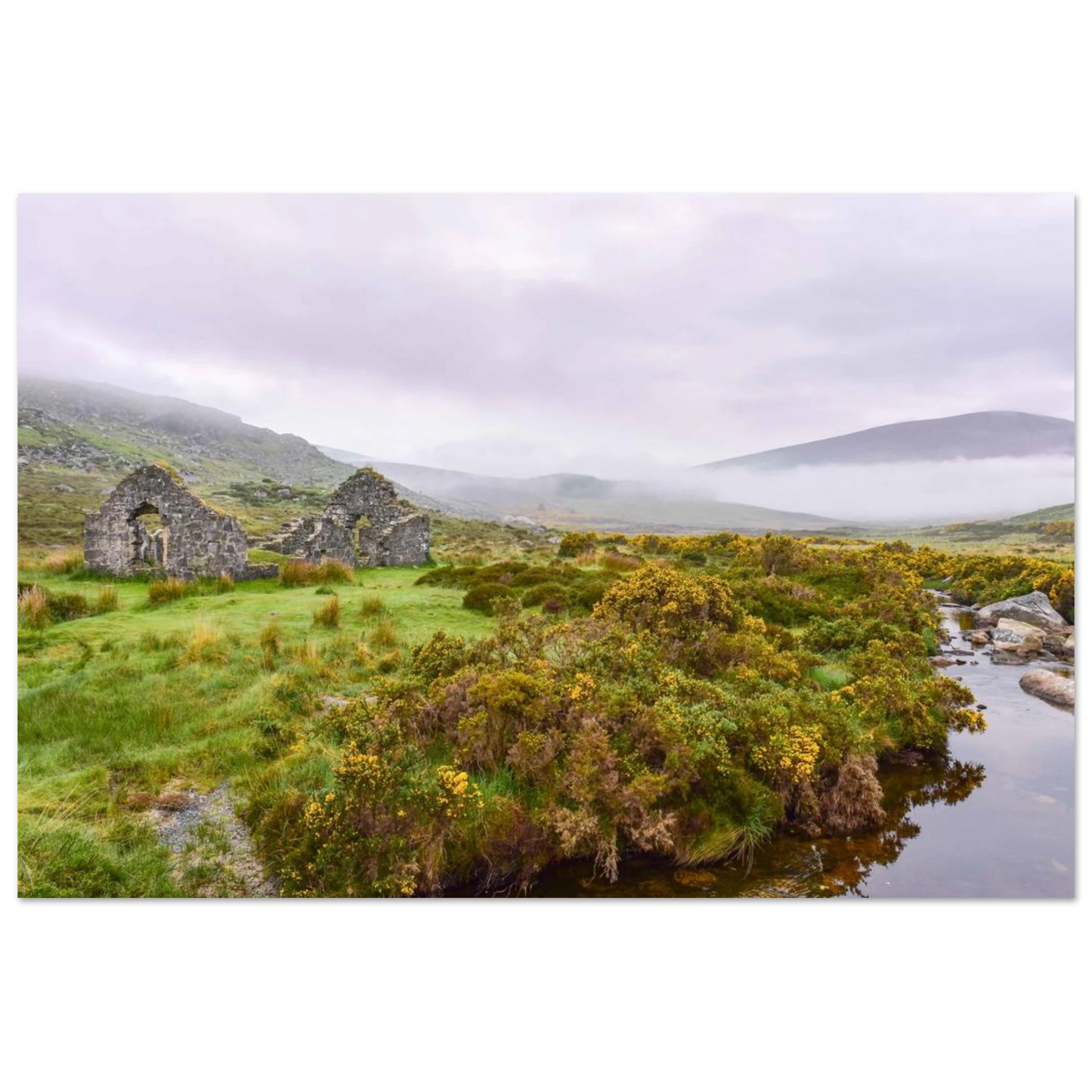 1d49ce0d-3aab-404c-92db-c1f2ac569bd9