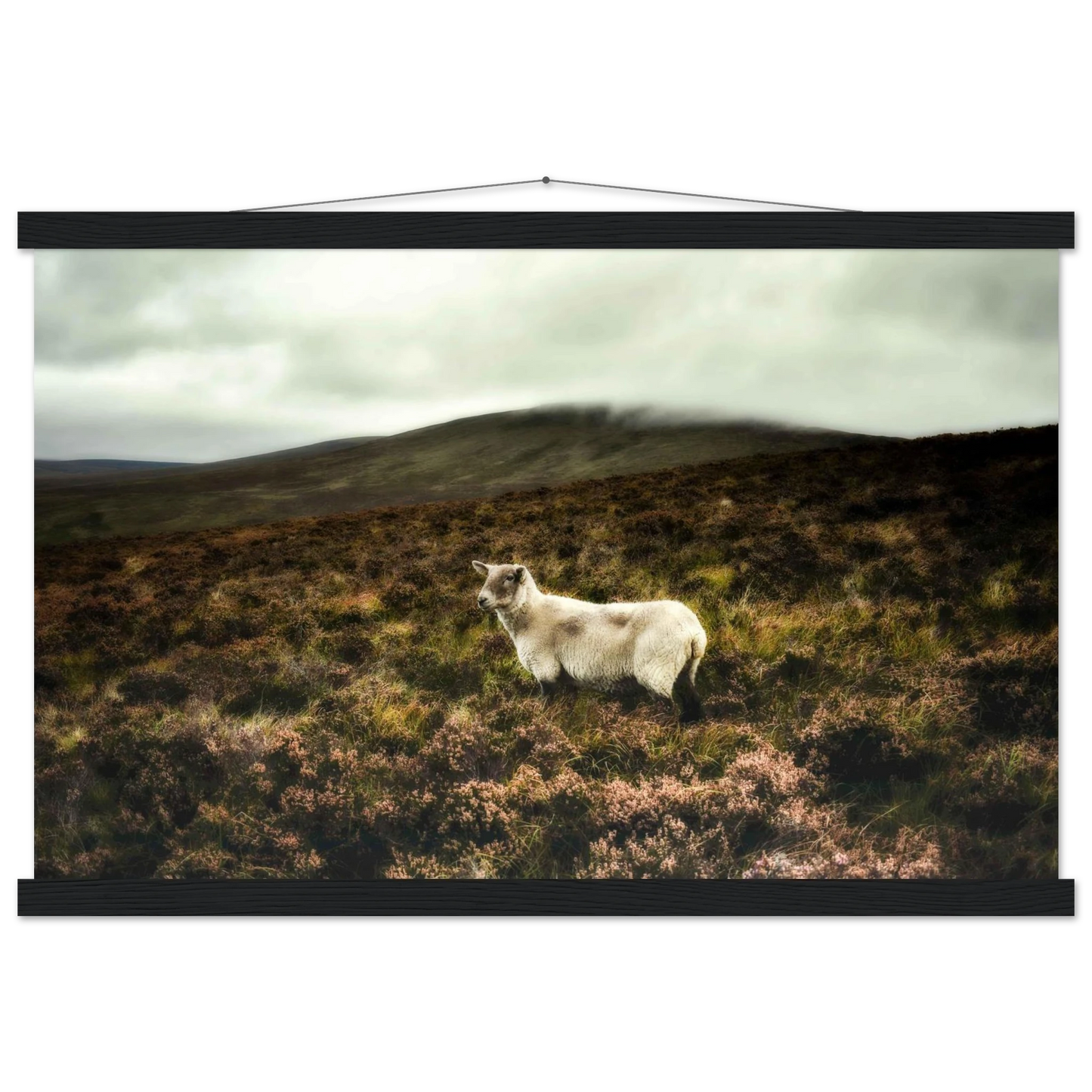 1d4ceda8-bd96-4cb6-88b8-7c79548edc21