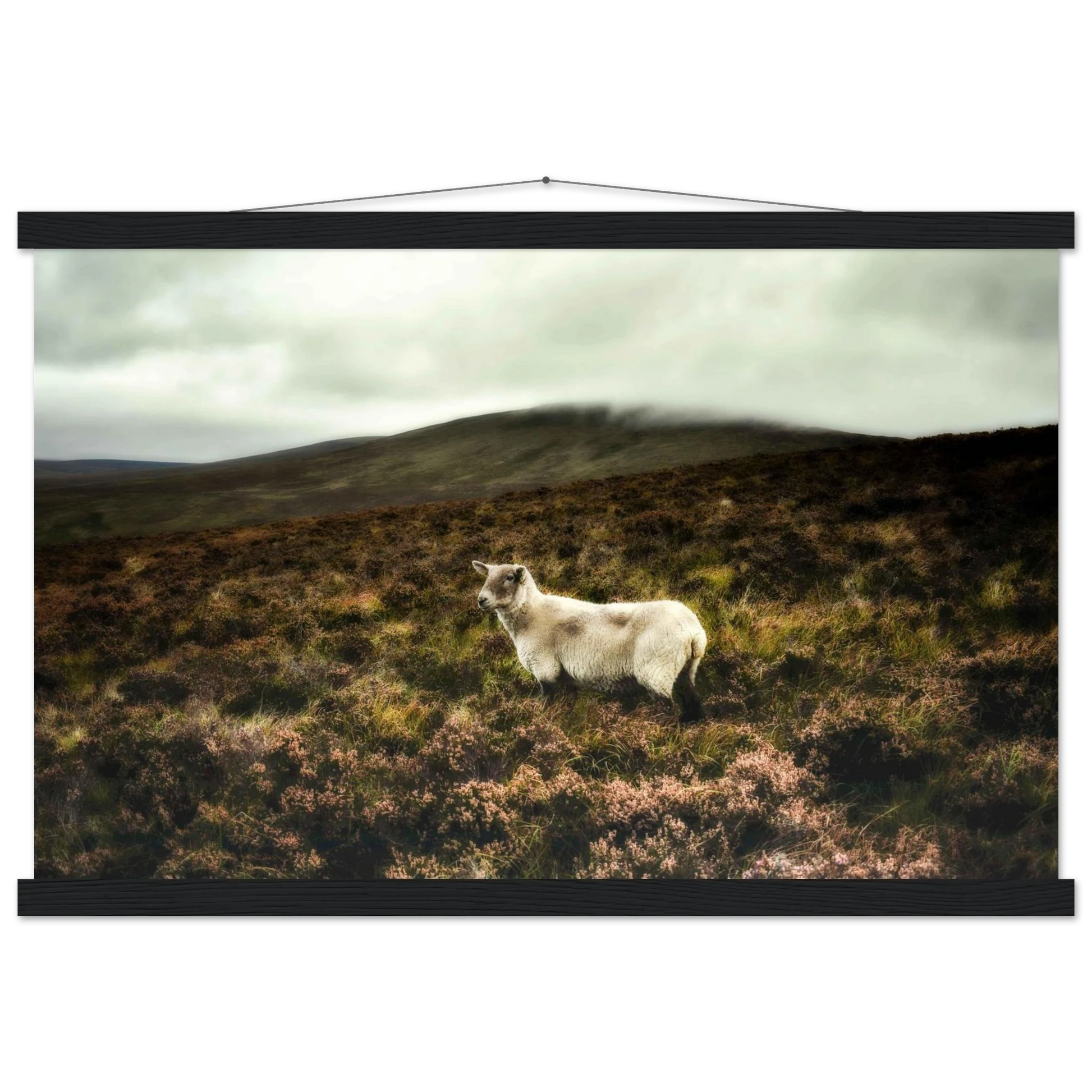 1d4ceda8-bd96-4cb6-88b8-7c79548edc21