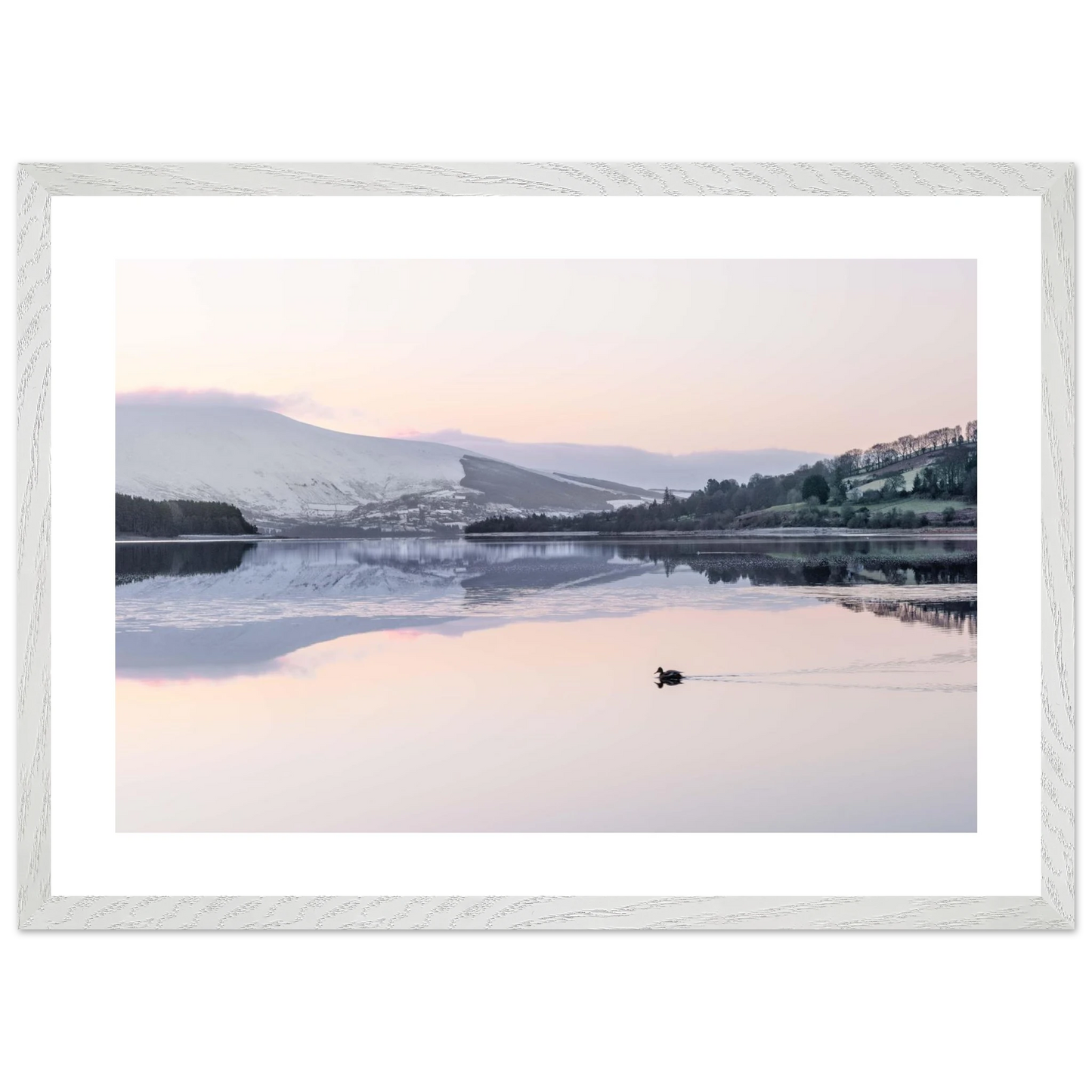 1d794106-d7b3-419d-ad3b-f38c0e71526b