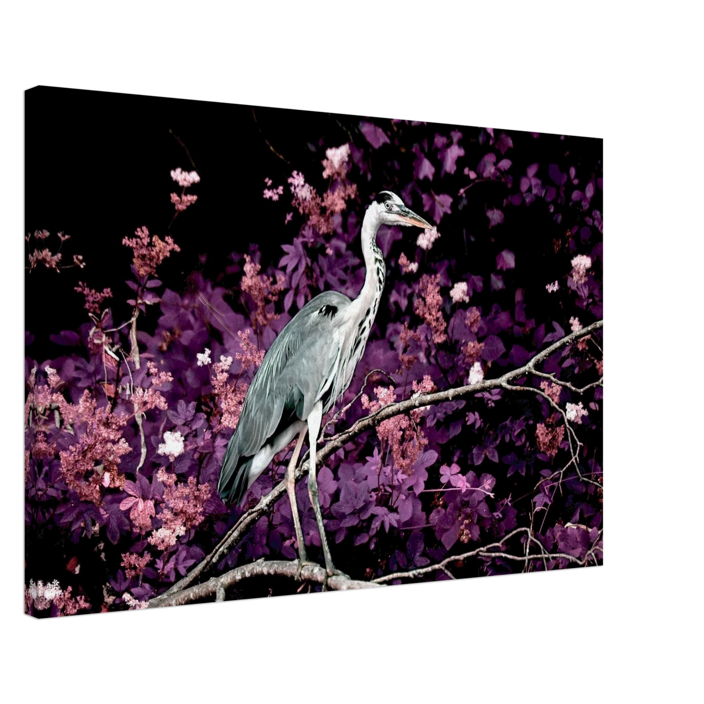 1d8e4ad1-e4c4-4149-99a3-6d8e3122130a