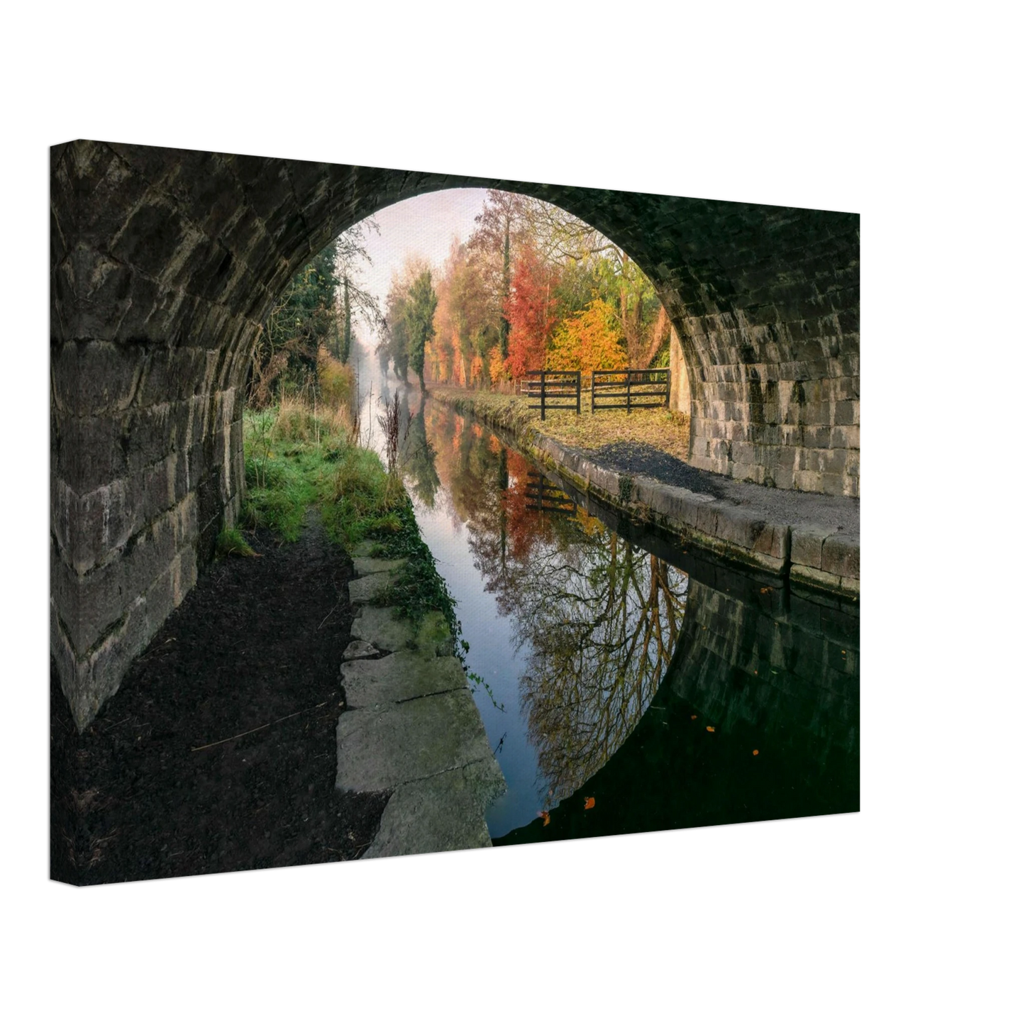 1dae0429-9c57-4283-8126-4522af7f1636