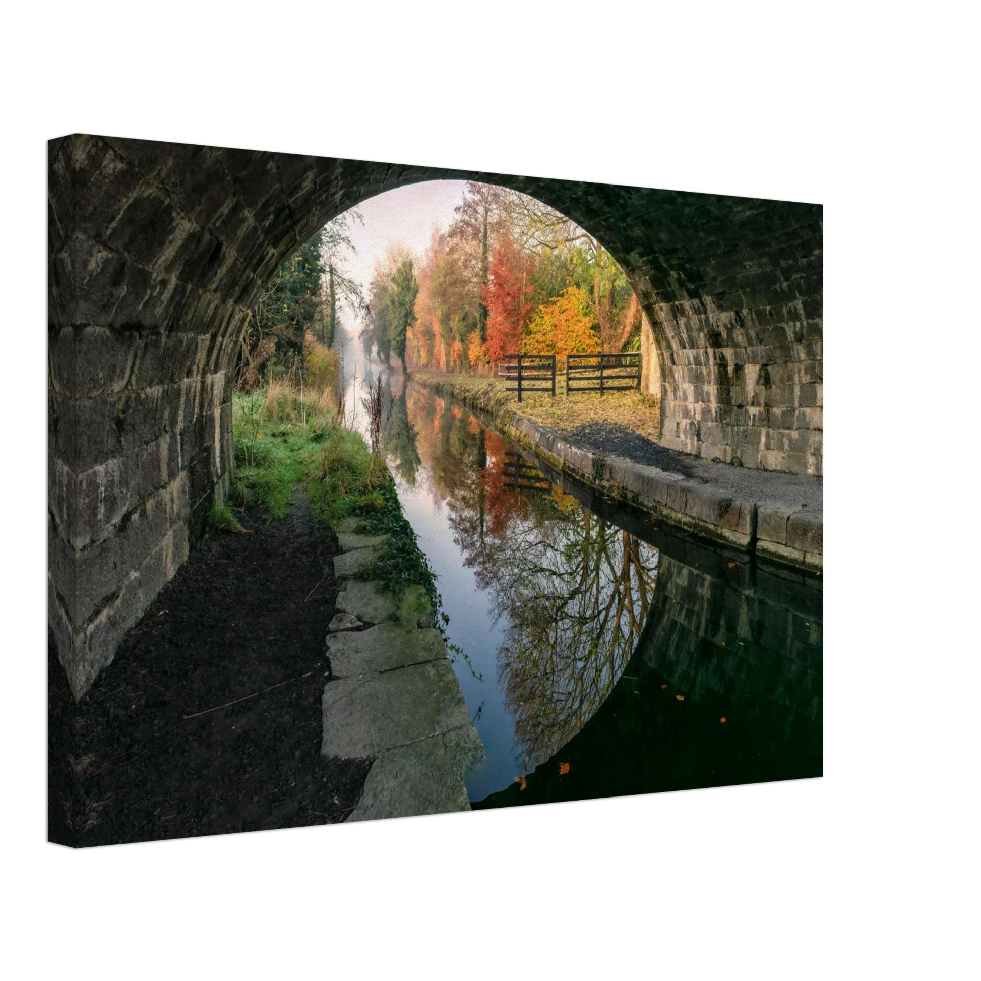 1dae0429-9c57-4283-8126-4522af7f1636