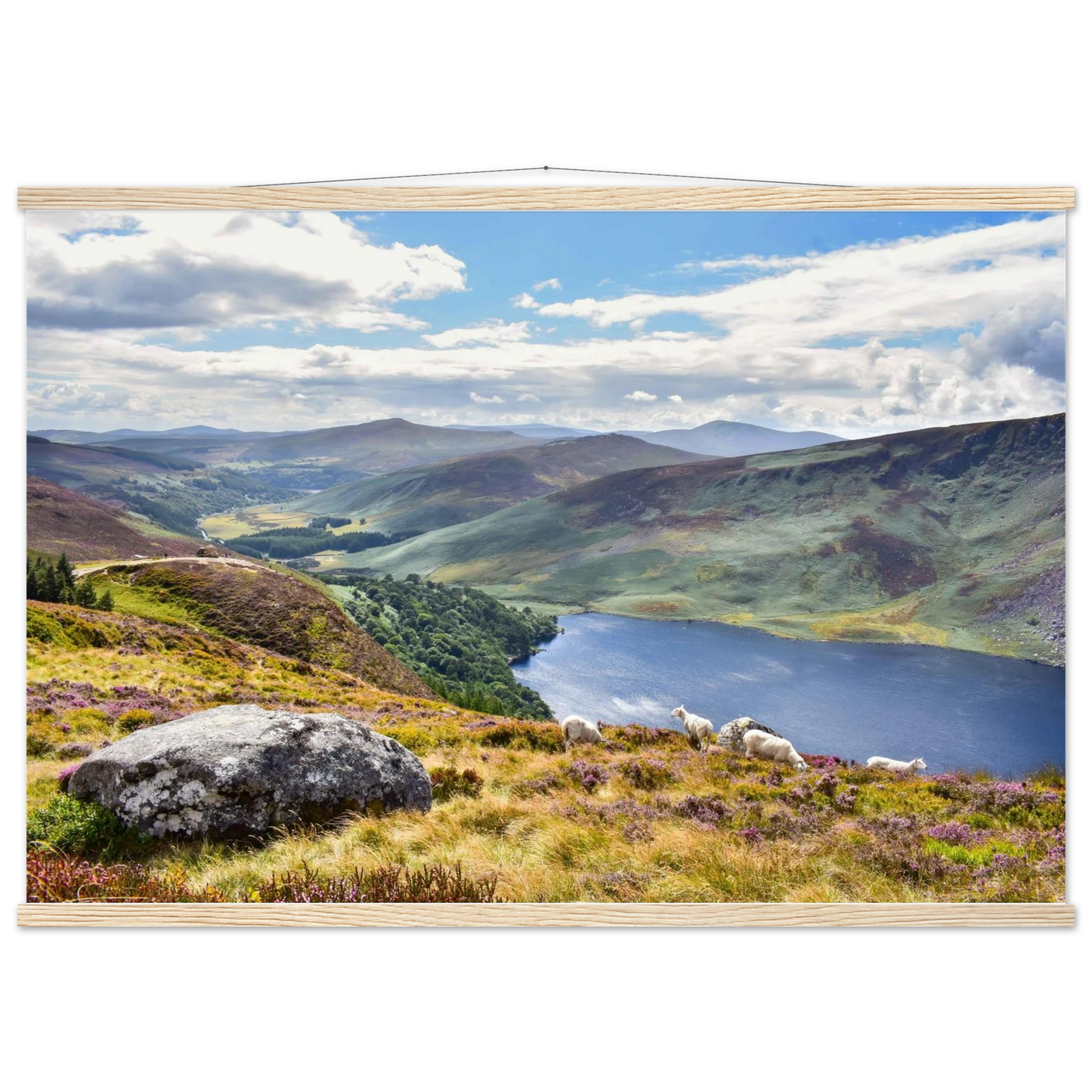 1dc1feb3-4d3a-4e5d-aec7-576d2a5fdf11