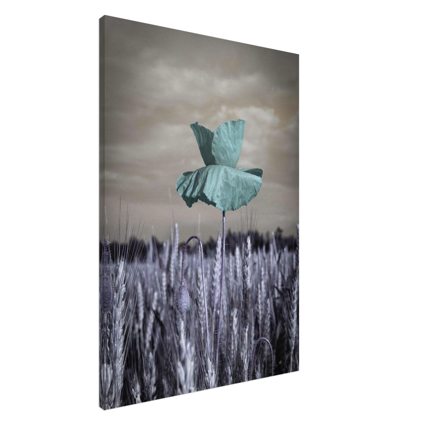 1dcb237e-e901-4f24-a473-61c078e79835