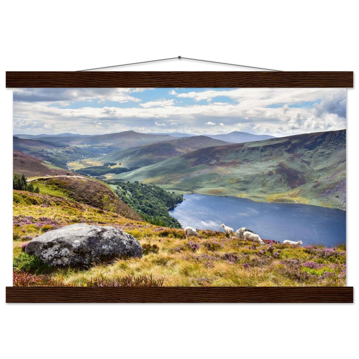 1e0c8055-df6c-4daa-8f6d-93f5b70a9de5