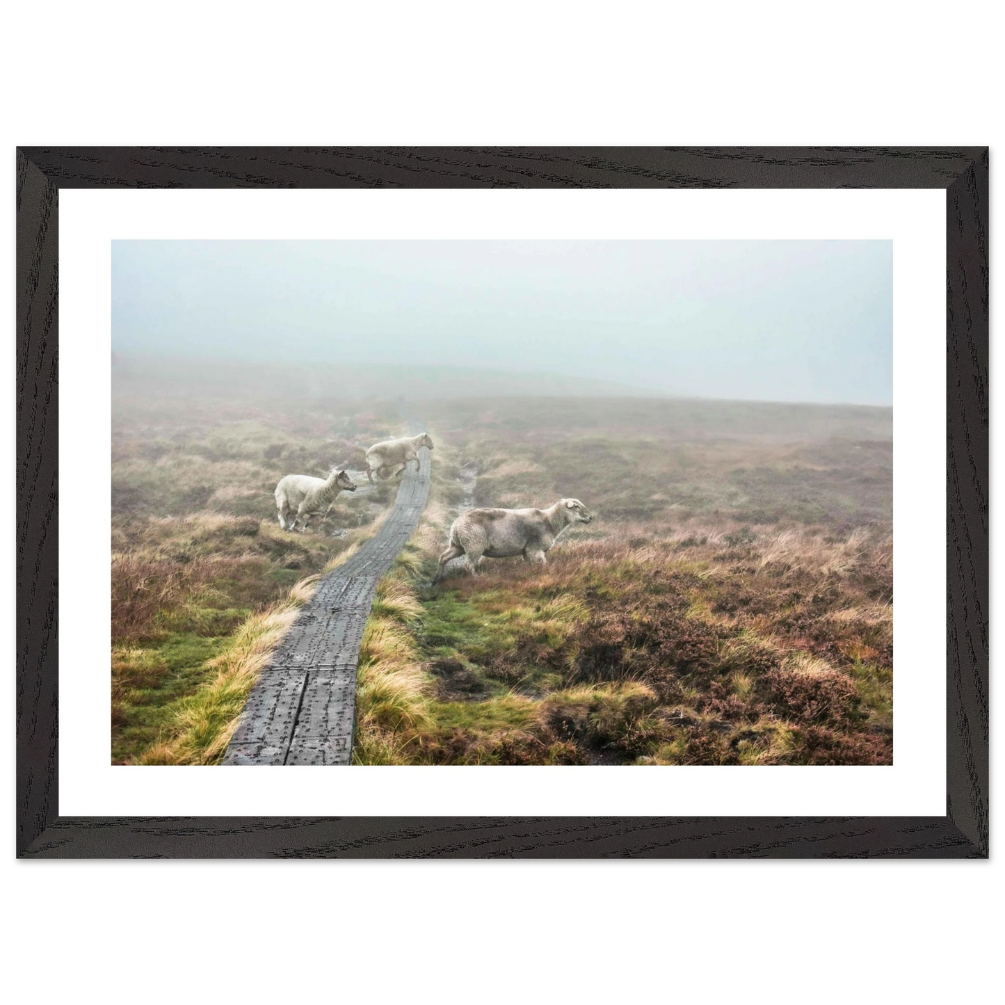 1e10fd25-34fc-4a7c-ba14-d6c3877afcc1