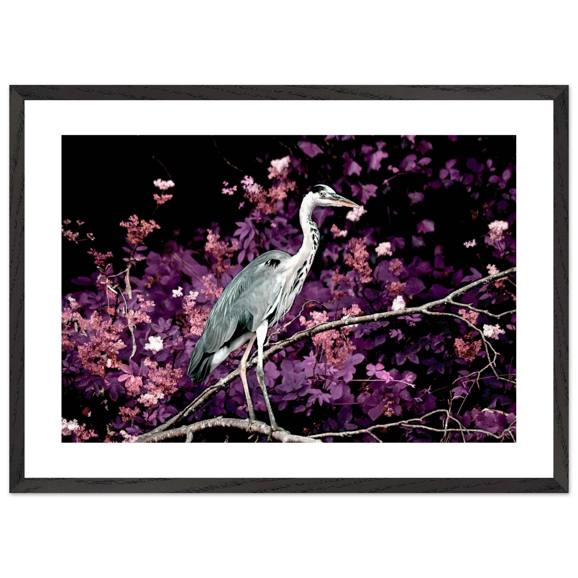 1e5fc1f4-ec83-460e-8c62-c92cfa32648e