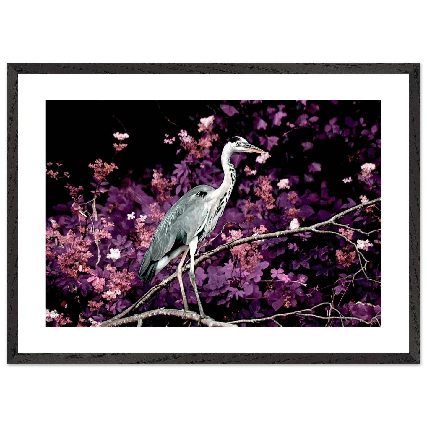 1e5fc1f4-ec83-460e-8c62-c92cfa32648e