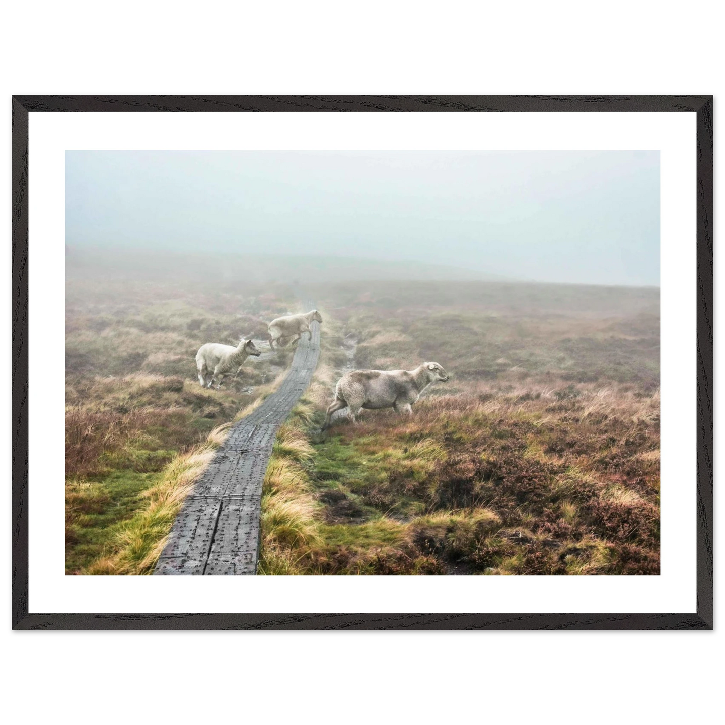 1e66af44-ca85-4592-aa33-bb5f95e46b0d