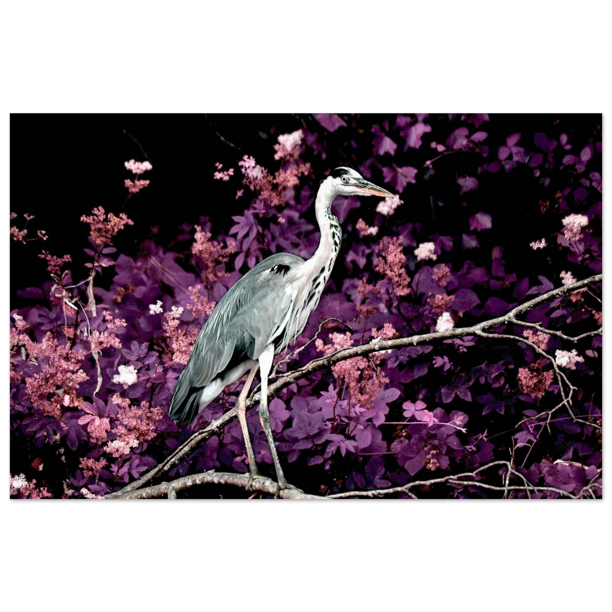 1eb7e6d1-b361-4304-84dc-2c24baed987f