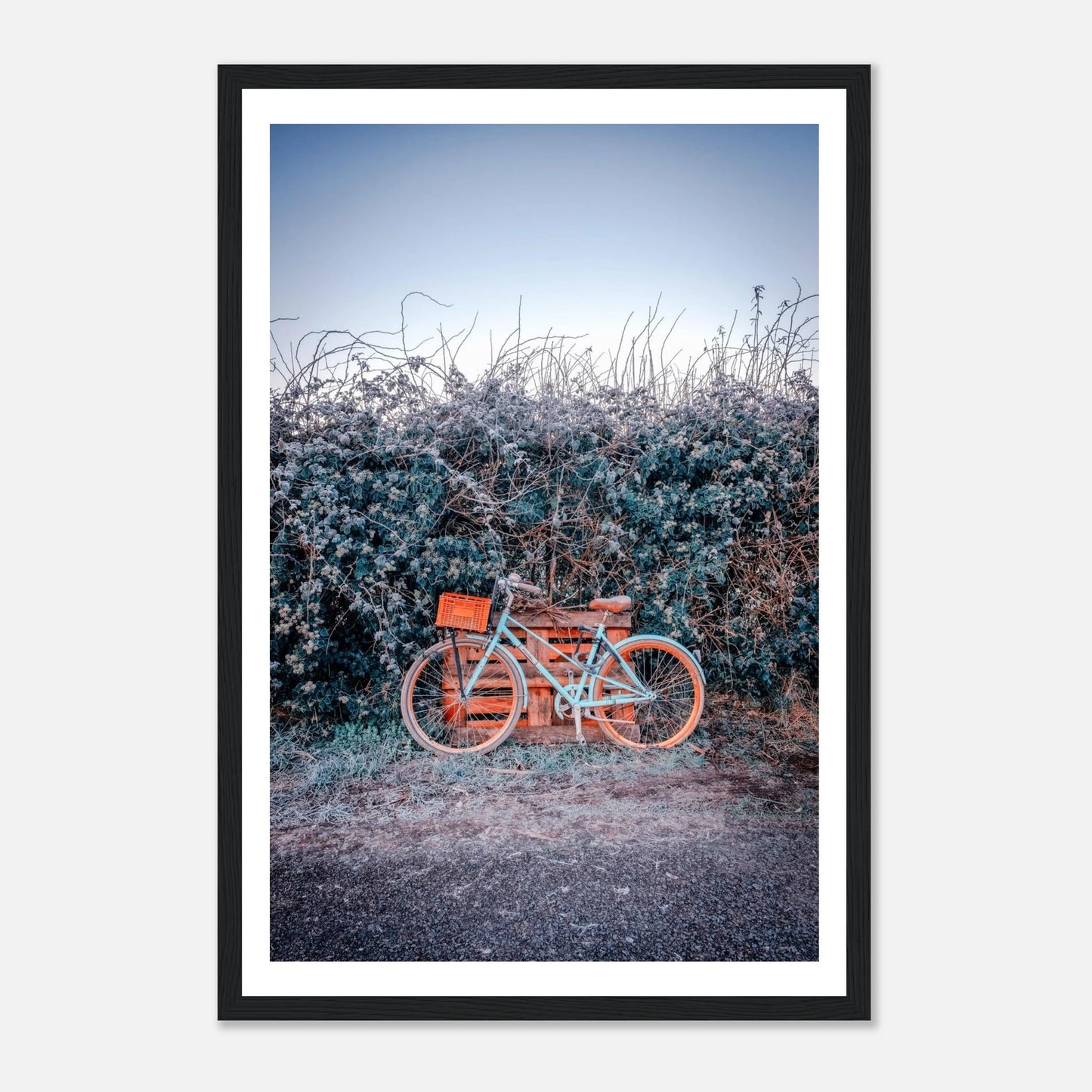 1f50f99e-44d4-4abd-9e73-5239cc150c63