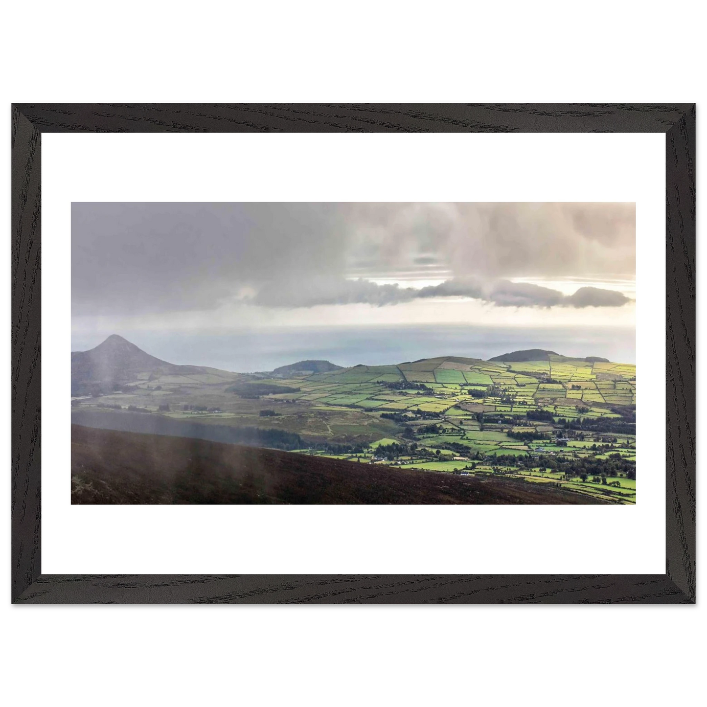 1f81f464-29c9-4c00-987e-9b101a860a5f