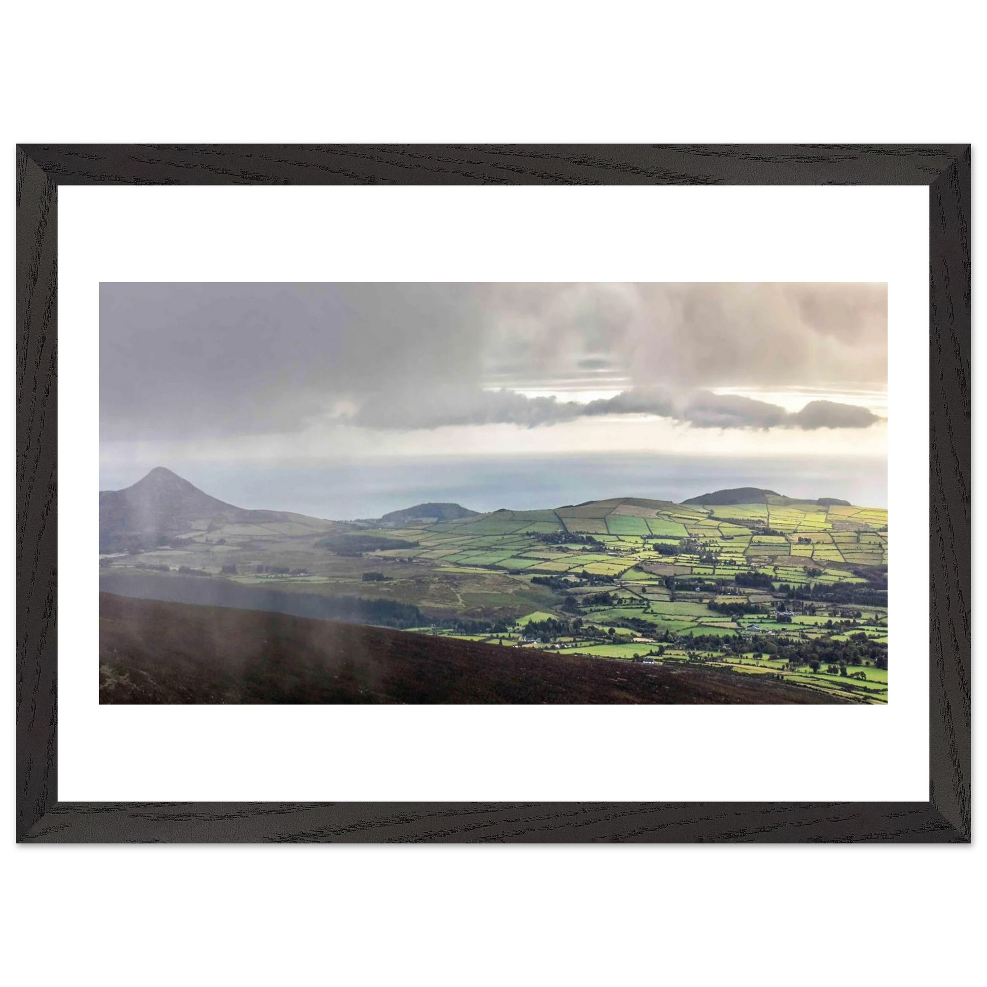 1f81f464-29c9-4c00-987e-9b101a860a5f