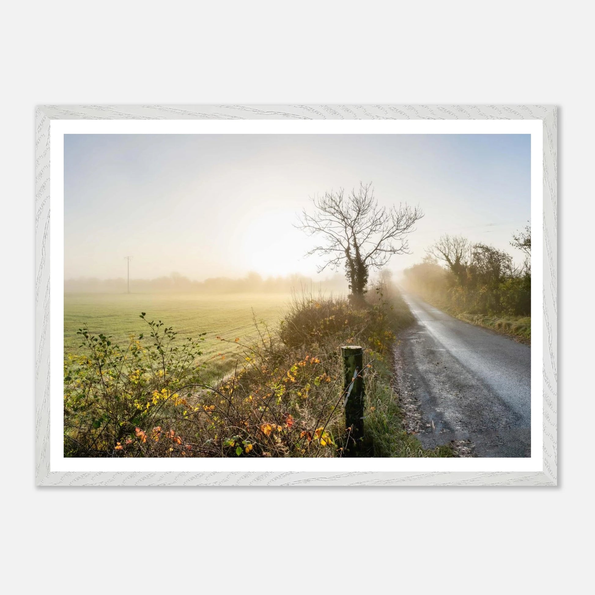 1f8cc848-1f26-45de-b57a-bf540c858387