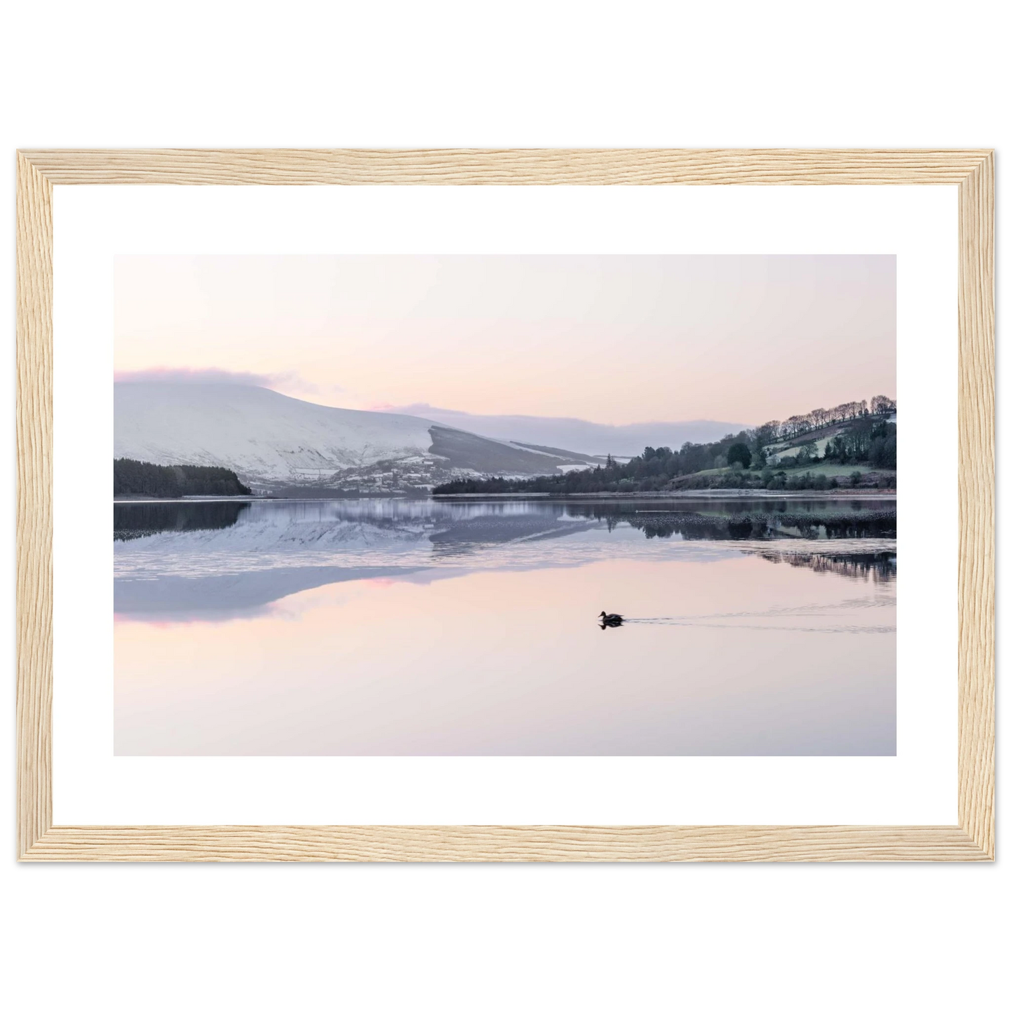 1fc66373-154e-4a52-95f7-0783ba0dd35c