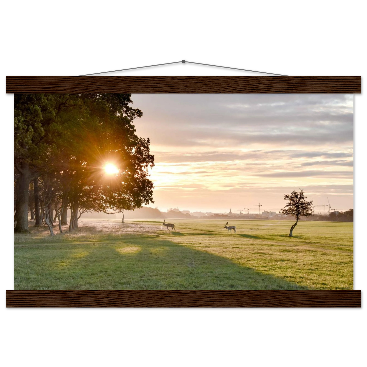 2045f3bc-47f0-4161-9710-d070633fd0af