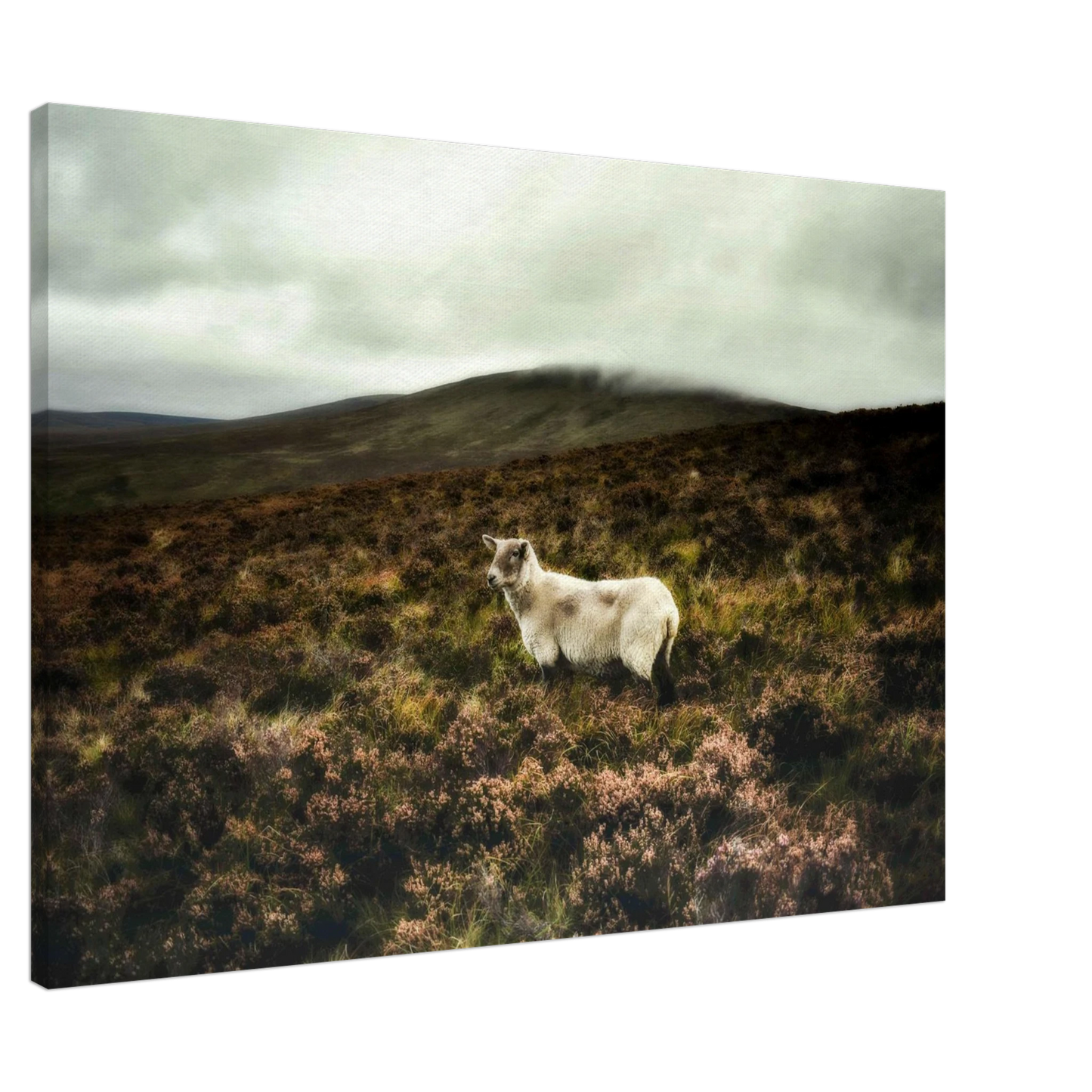 21178a65-a2c3-4d9e-a0aa-906ea74d612a