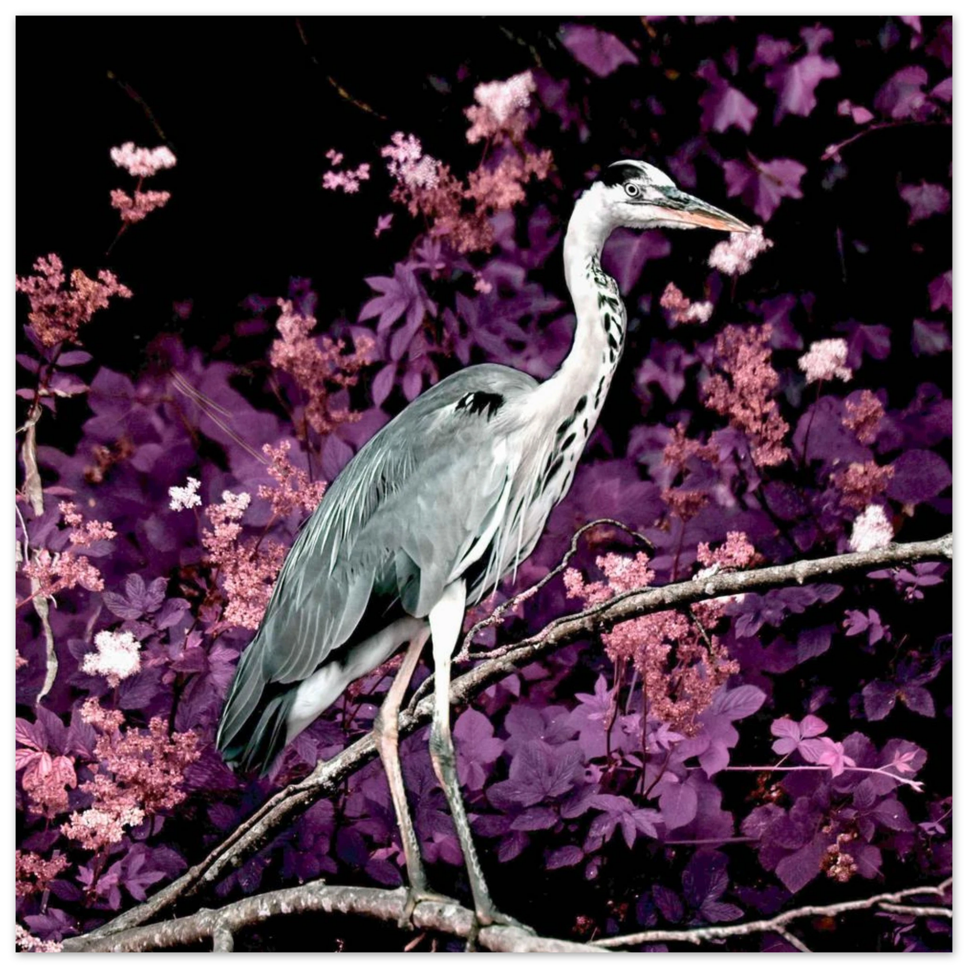 216e11c8-7821-4c1b-bcee-7ee7ba33f96c