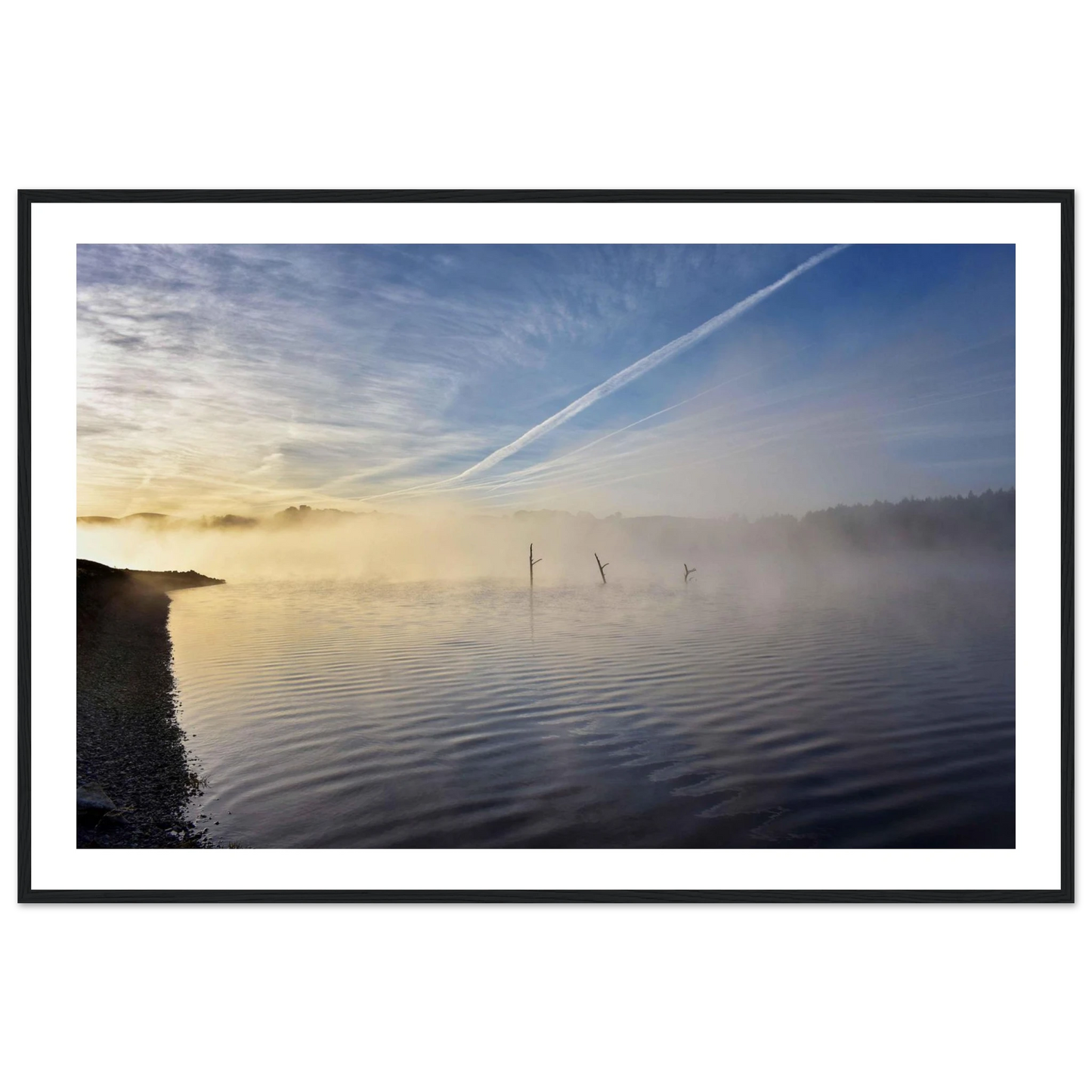 219d7e88-e810-4d1f-8dca-74c4b424067d