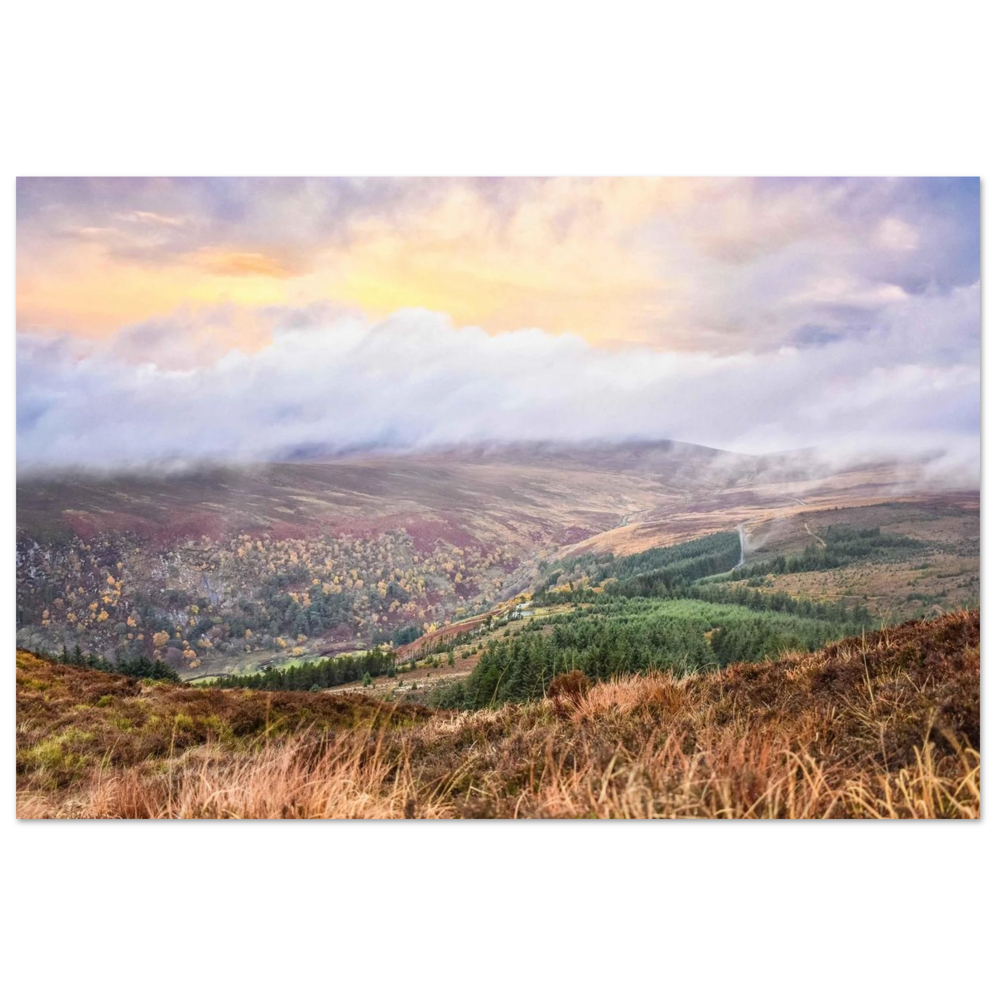 220d7561-85e8-467d-a976-e822f5a43cef