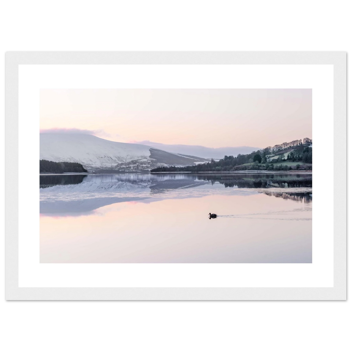 222cd7d9-adb7-4bf8-9d74-bc3bdcf6fa06