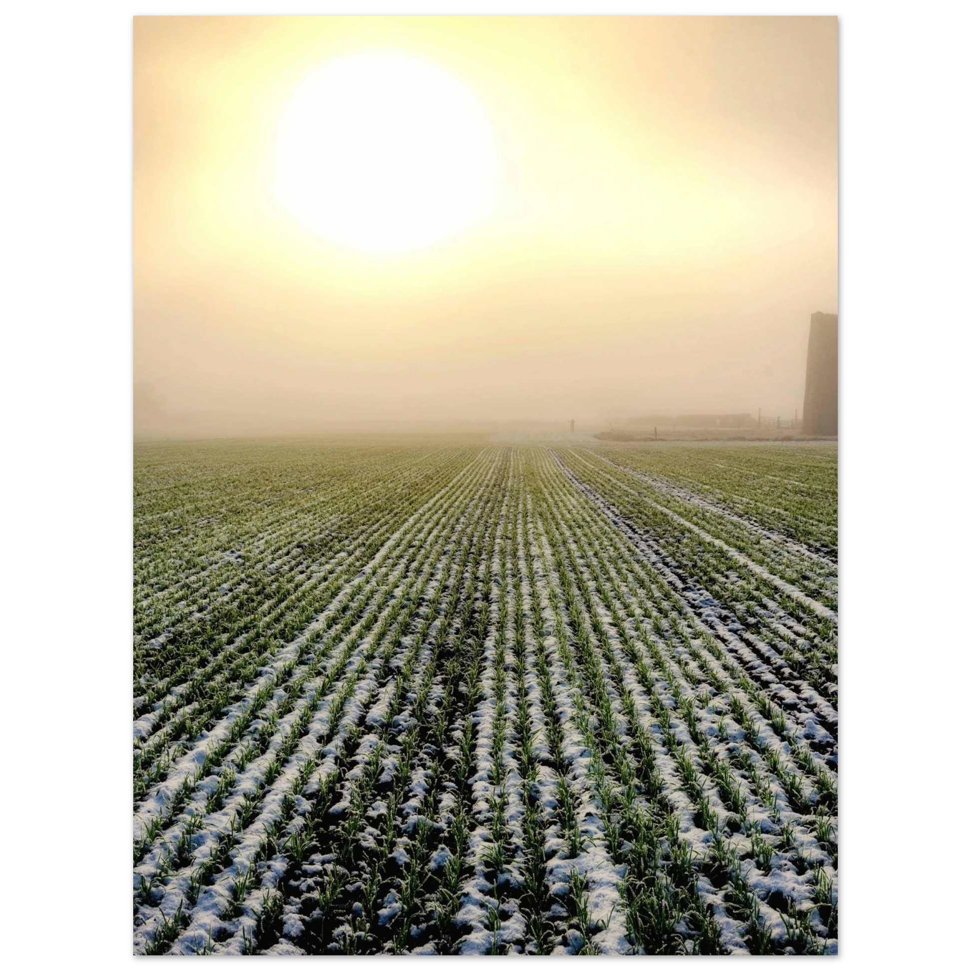 22871254-069d-4a26-894a-a292b2f0cfd0