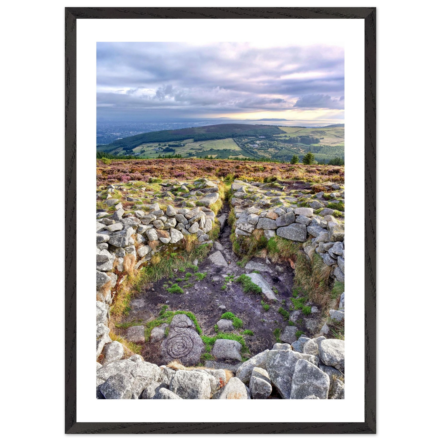 22b21e42-6d0c-4ba2-8231-7425c77b0e6e