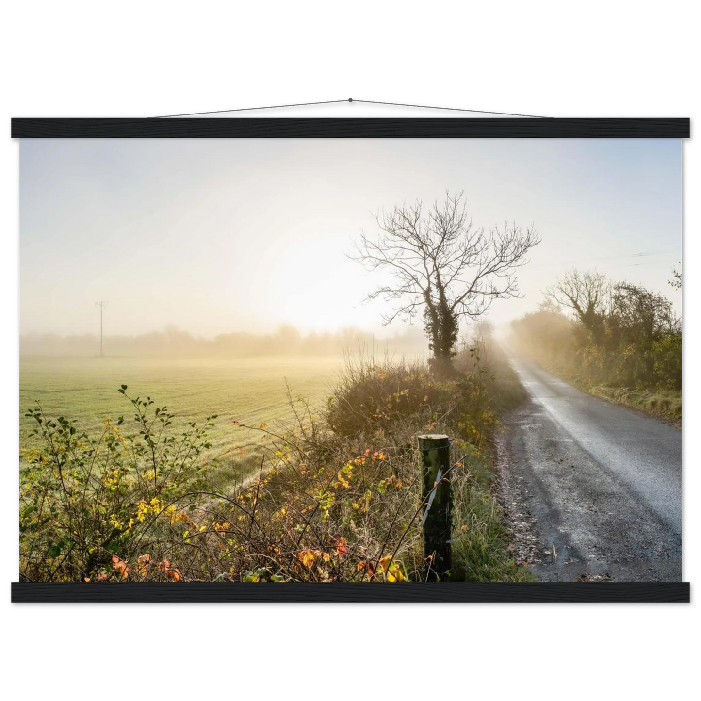 22f381d8-4a92-4006-9f89-63e3d03ef612