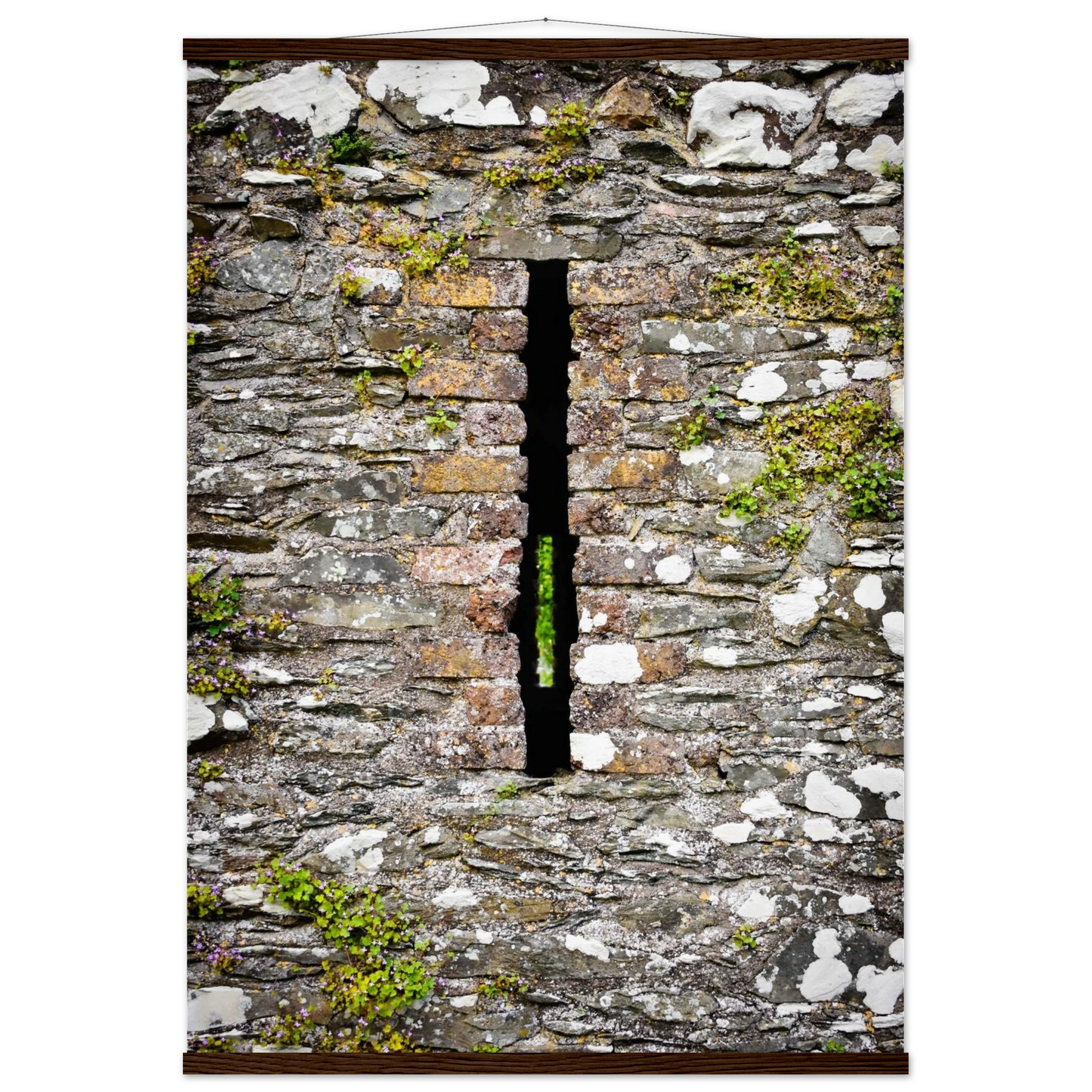 24520ab2-b9bb-467b-86c1-89c947c21b6f