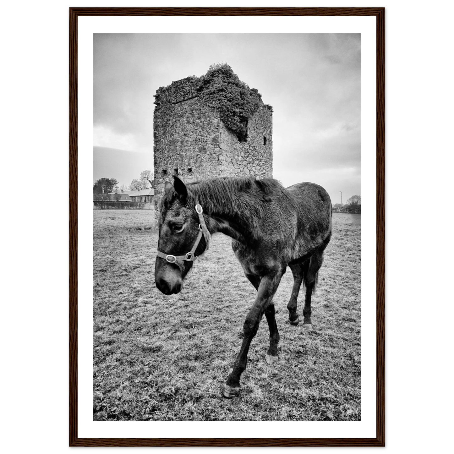 2455cabd-684c-41b8-8d14-7e18b464497a