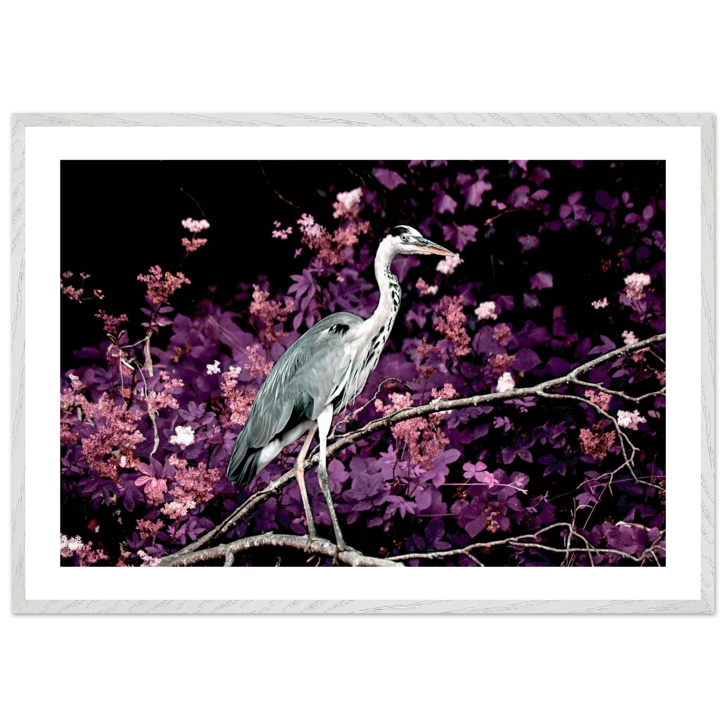 24f35b4e-9356-46cf-ba72-623e01ae899f