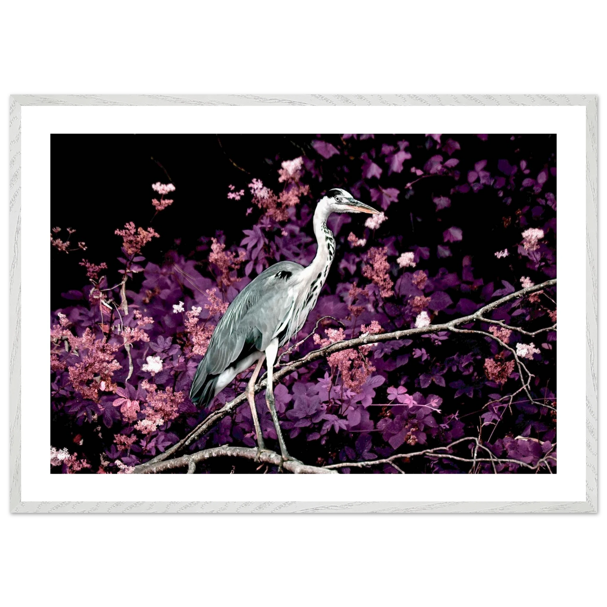 24f35b4e-9356-46cf-ba72-623e01ae899f