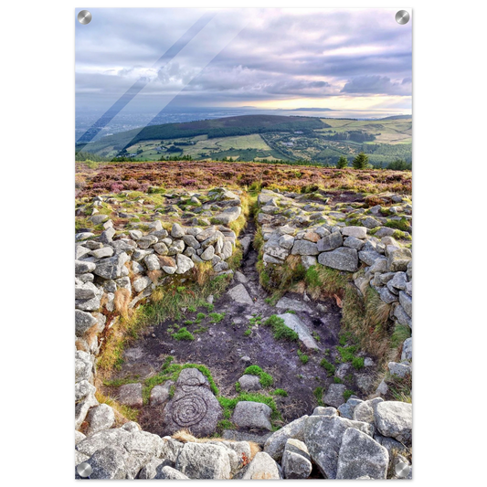 258c0b16-4b33-47e6-b7cc-0ed790b8c35d