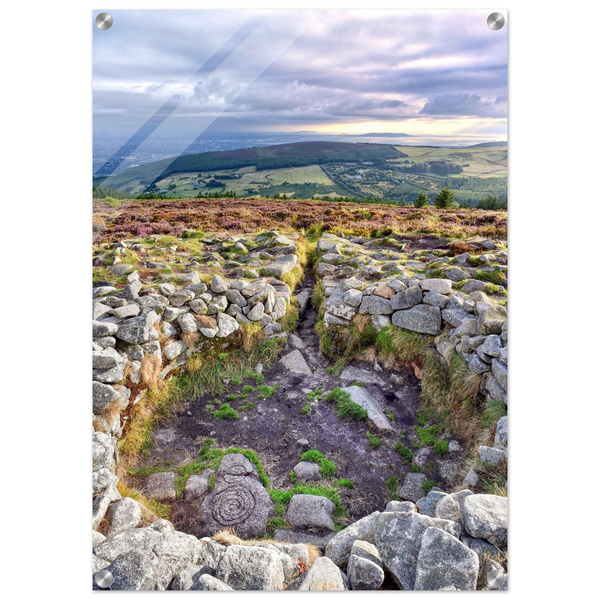 258c0b16-4b33-47e6-b7cc-0ed790b8c35d