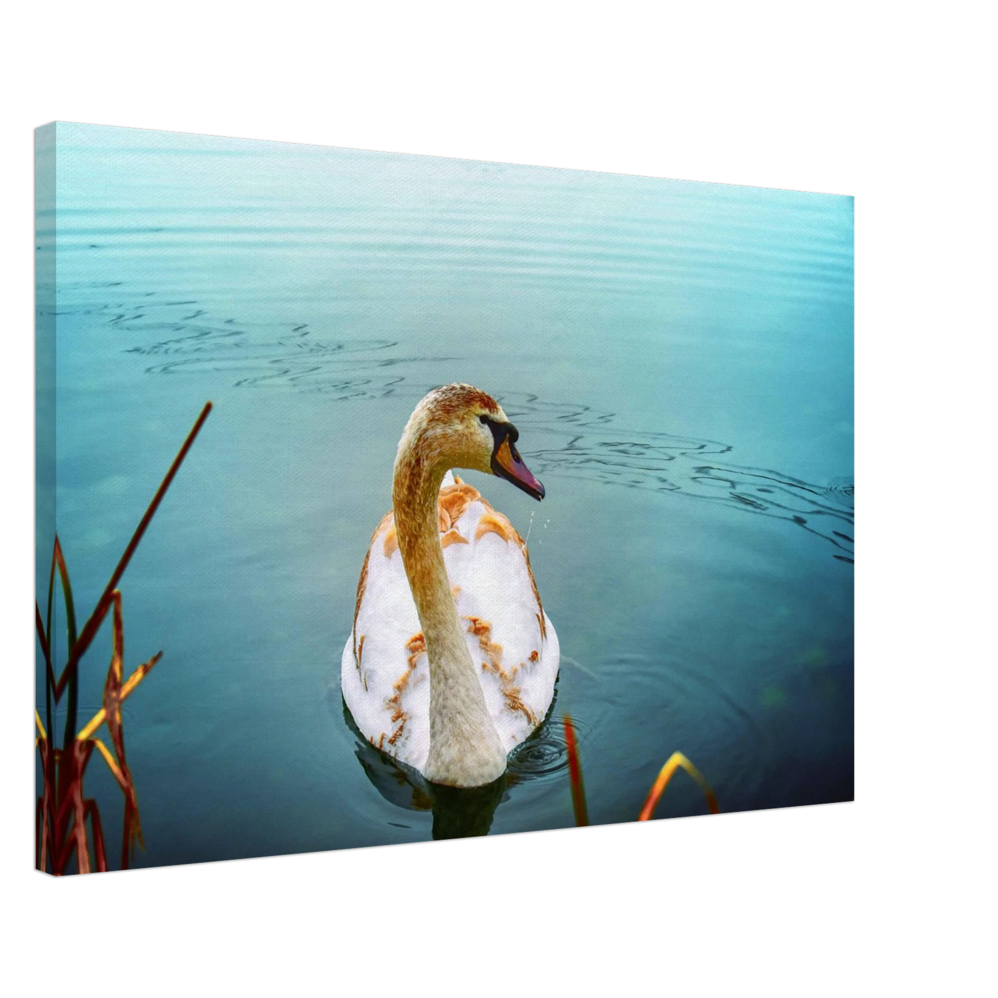 25d42e51-e5d9-4267-bcfe-9b16ff44668f