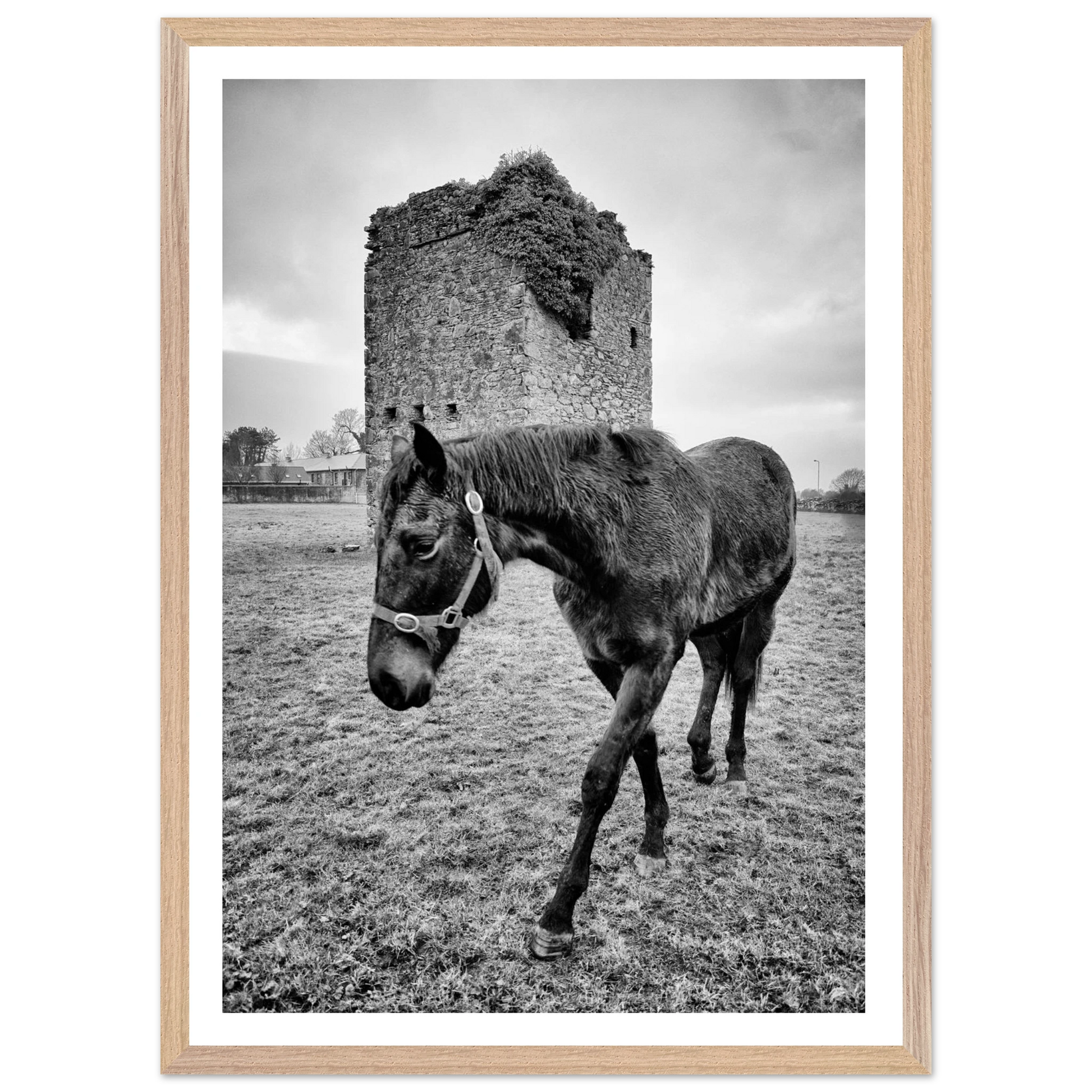 25f512dd-1835-43eb-a1b8-335a5fcf4ea3